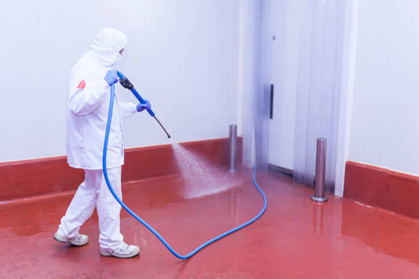 Best Roof Washing  in Frent Hills, MO
